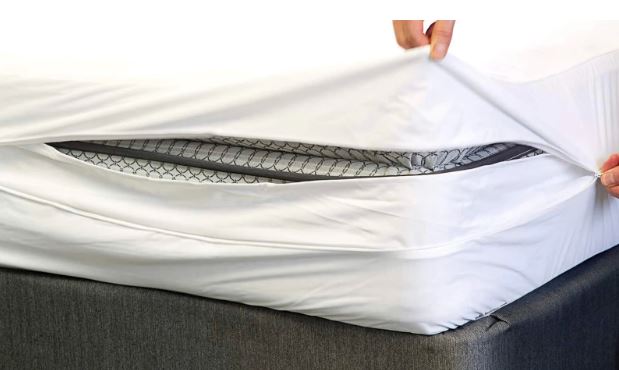 Protecting Your Mattress from Bed Bugs