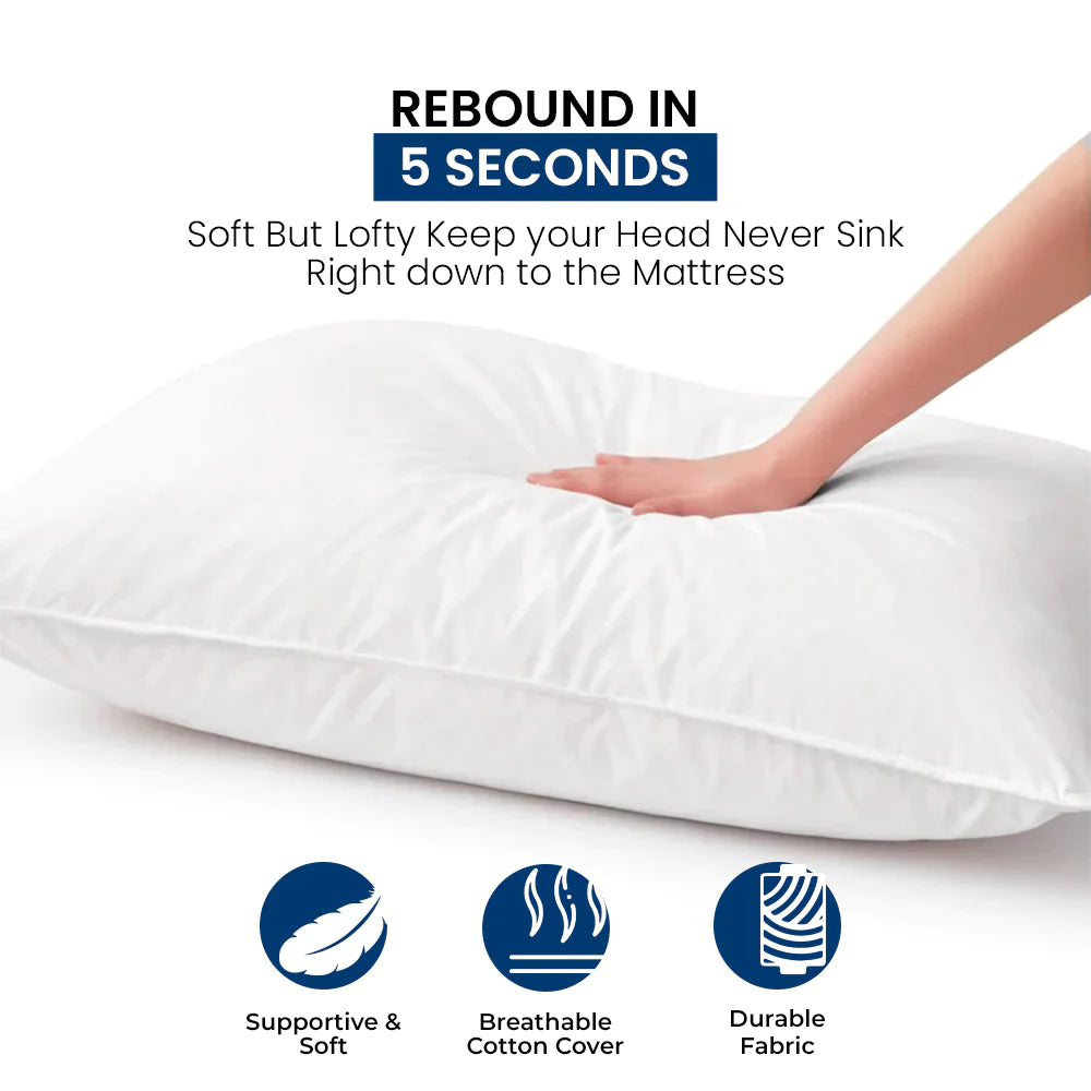 Soft Siesta Luxury Bed Pillows 20x28 - Pack of 2